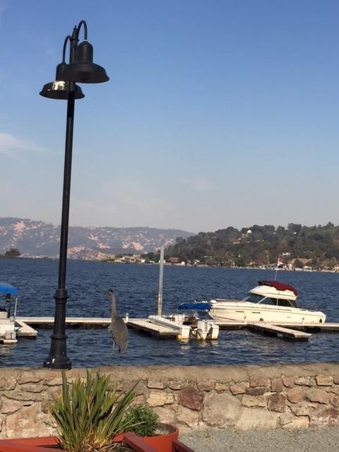 Clear Lake Vista Resort Kelseyville Ngoại thất bức ảnh